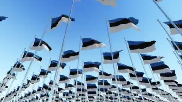 Muchas Banderas Nacionales Estonia Contra Cielo Azul Representación Tridimensional Animación — Vídeos de Stock