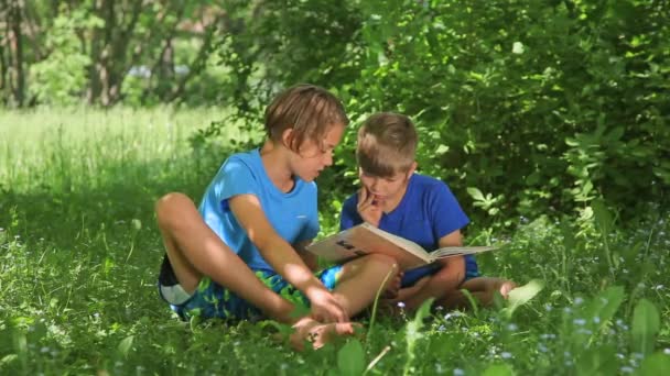 Enfants Mignons Lecture Livre Dans Environnement Naturel Ensemble — Video