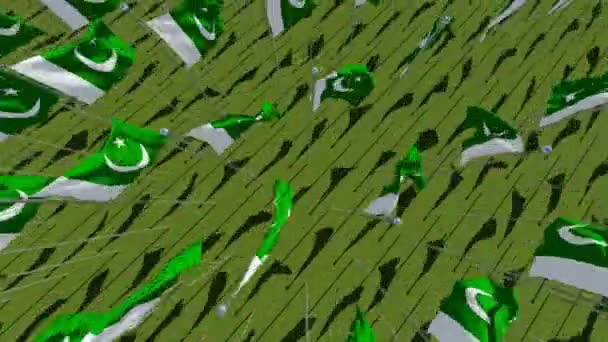 Πολλές Σημαίες Του Πακιστάν Στο Πράσινο Πεδίο Θέα Από Ψηλά — Αρχείο Βίντεο