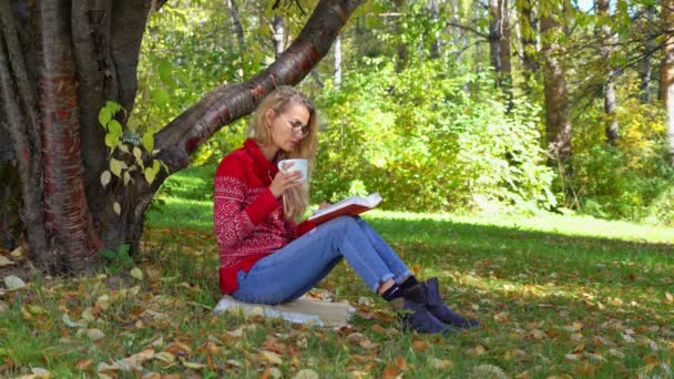 Красивая Девушка Осеннем Парке Читает Книгу Тёплом Свитере Женщина Сидит — стоковое видео
