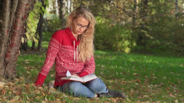 Mulher Loira Sorridente Bonita Camisola Vermelha Jeans Sentado Sob Árvore — Vídeo de Stock
