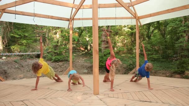 Giovane Donna Tre Bambini Ragazzi Che Fanno Yoga Pratica Lato — Video Stock