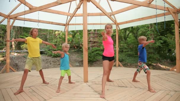 年轻女子和三个孩子在练习瑜伽 在户外锻炼健康的家庭 — 图库视频影像