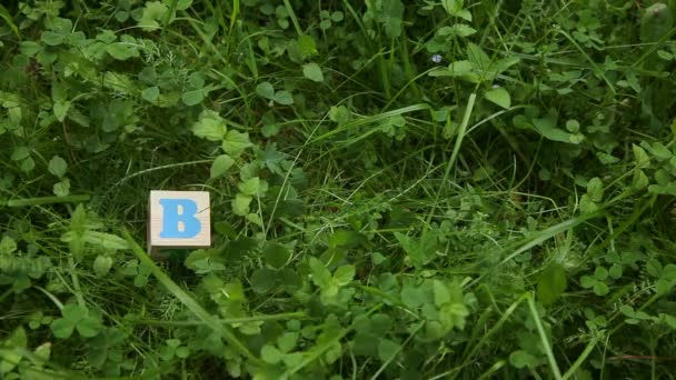 Mains étendent le mot 'Bingo de cubes en bois sur fond d'herbe verte. Concept de jackpot de loterie .