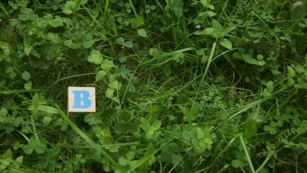 Rukou vyložit slovo Bingo z dřevěných kostek na zelené trávě pozadí. Loterii jackpot koncept.