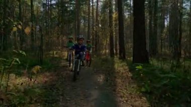 Üç erkek sonbahar güneşli bir günde orman yoluyla bisiklet sürme