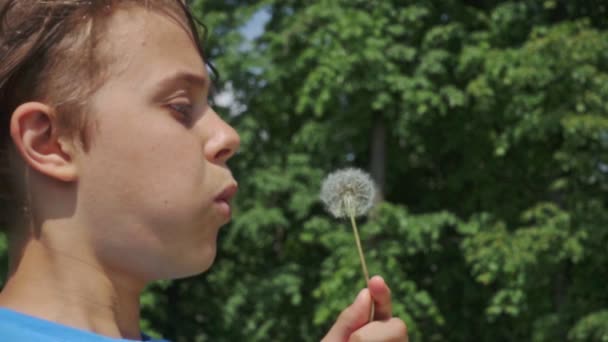 Young Boy Blowing Dandelion Flower Summer Day — Stock Video