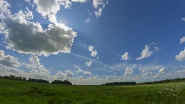 Grüne Wiese Blauer Himmel Mit Sonne Und Wolken Zeitraffer — Stockvideo