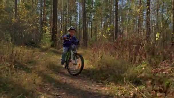 숲에서 자전거를 어린이 헬멧에 사이클링 — 비디오