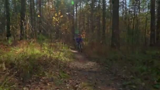 秋の晴れた日の森の中自転車に乗る男の子 子供のヘルメット屋外サイクリング — ストック動画
