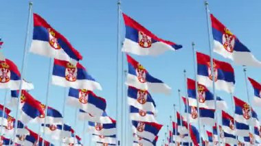 Birçok bayrak mavi gökyüzü karşı Sırbistan. Üç boyutlu 3d animasyon oluşturma.
