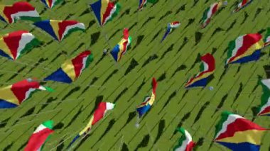 Many flags of Seychelles in green field. View from above. Three dimensional rendering 3d animation.