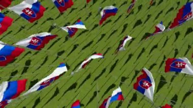 Yeşil alan Slovakya'da birçok bayrakları. Yukarıdan görüntüleyin. Üç boyutlu 3d animasyon oluşturma.