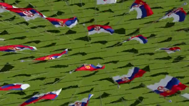Sırbistan Yeşil Alan Birçok Bayrakları Yukarıdan Görüntüleyin Boyutlu Animasyon Oluşturma — Stok video