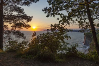 Gün batımında şaşırtıcı ağaçlar. Ağaçlar ve mavi deniz, dağlar ve gökyüzü güneş akşam ile renkli yatay. Tuapse, Rusya'nın yaz seyahat. Doğa arka plan.
