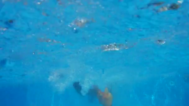 Malý Chlapec Běhu Skákání Bazénu Dítě Potápění Pod Vodou Léto — Stock video