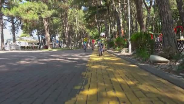 7月7日 俄罗斯格伦格齐克 三个孩子和他们的妈妈沿着一个美丽的公园骑自行车 游客休息 — 图库视频影像