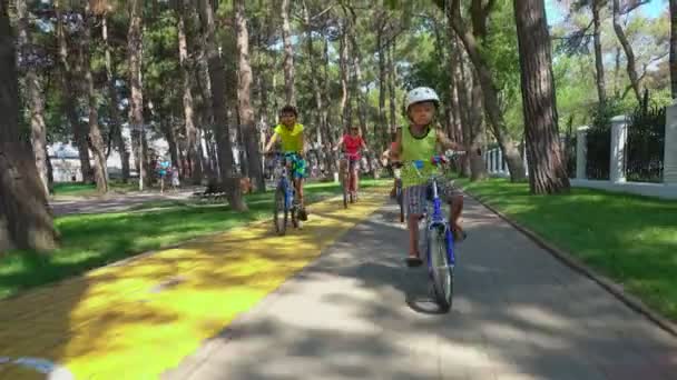 ゲレンジク ロシア 2018 子供自転車に乗って 市内の堤防での観光客 家族の残りの部分人 スポーツ ウォーキング クラスノダール地域のために行く — ストック動画