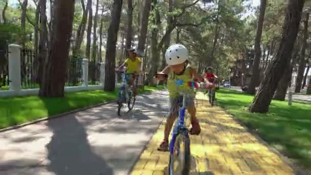 Piccoli Ciclisti Sella Alle Loro Biciclette Nel Parco Cittadino — Video Stock