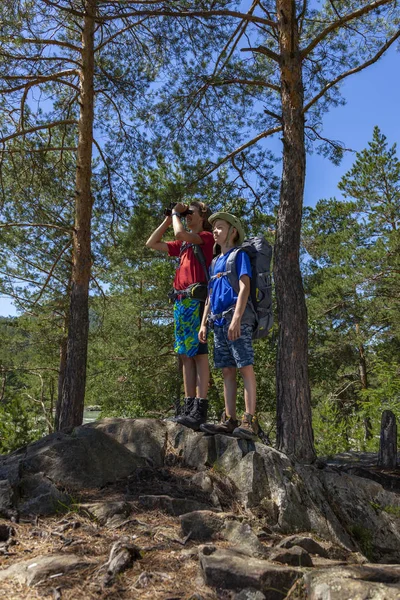 Two Boys Backpacks Looking Binoculars Forest Concept Kids Vacations Travel — Stock Photo, Image