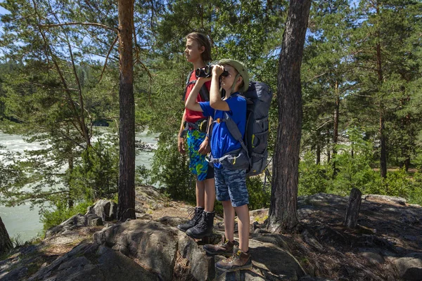 Boldog Fiúk Keres Keresztül Távcsövet Erdőben Folyó Közelében Egy Ragyogó Stock Kép