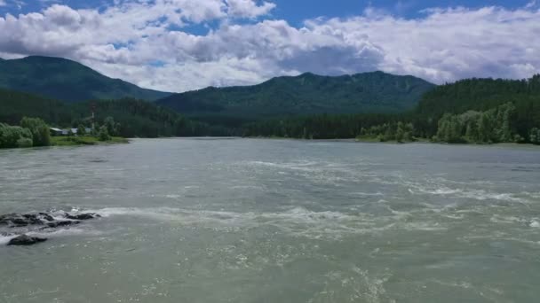 Havadan Görünüm Yaz Gününde Dağ Katun Nehri Üzerinde Uçan Altai — Stok video