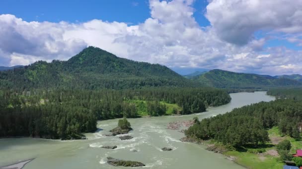 Vista Aérea Del Dron Valle Del Río Katun Paisaje Salvaje — Vídeos de Stock