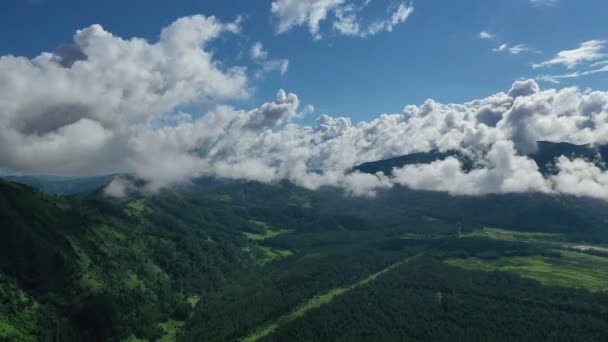 Luchtfoto Mooie Wolken Boven Groene Vallei Het Altaj Gebergte Tijdens — Stockvideo