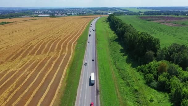 ロシアの農村部の夏の緑の黄色のフィールドを通る田舎道の空中トップビュー — ストック動画