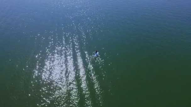 晴れた日の静かな海でパドルボード サップ を立ち上がる少年の航空写真 — ストック動画