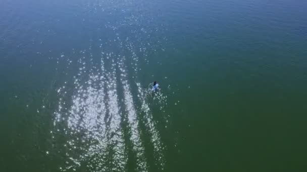 Pemandangan Udara Terhadap Boy Stand Paddle Boarding Sup Laut Tenang — Stok Video