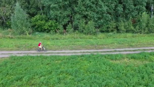 白樺の木と緑のフィールドの間をサイクリングする人 航空写真 道路上の自転車に乗ってヨン少年の上を飛ぶドローン — ストック動画