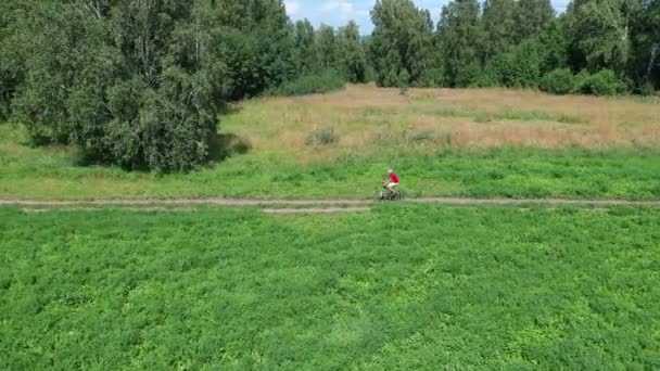 少年は自転車に乗っています 夏の緑のフィールドでサイクリングの十代の若者 — ストック動画