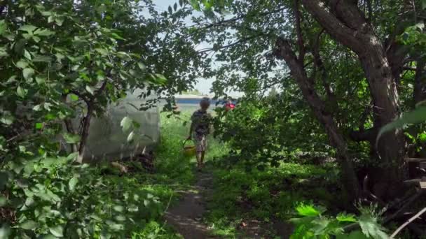 Kinder Gehen Barfuß Aus Dem Garten Und Tragen Eine Gemüseernte — Stockvideo