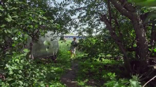 Three Kids Boys Carry Crop Peppers Cucumbers Tomatoes Vegetables Garden — Stock Video