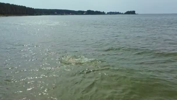 Two Boys Swimming Sea Aerial View Summer Holidays — Stock Video