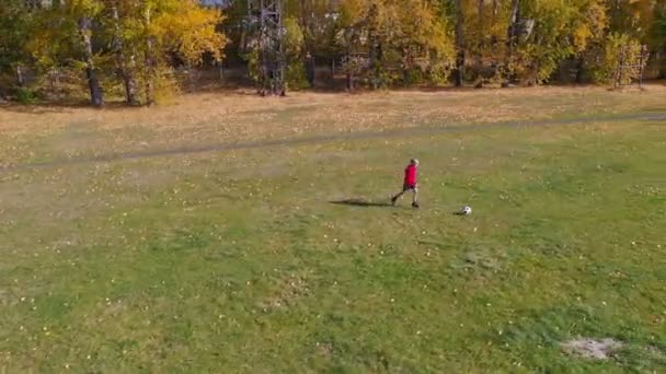 儿童足球训练 男孩在阳光明媚的秋日踢足球 — 图库视频影像