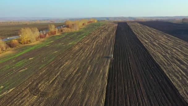 秋の日に道路の近くのフィールドの上に空中飛行 トラクターのフィールドで耕しています 土の栽培 — ストック動画