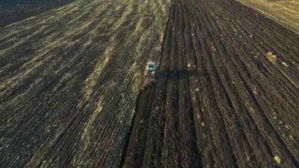 フィールドでのトラクターの耕作の航空写真 播種のための耕作地を栽培する農家 — ストック動画