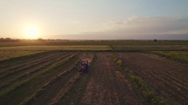 Hay Rake And Tractor Raking Hay In Field Aerial Cinematic 4K video. Small ranching hay harvesting. Tractor working in field at sunset.