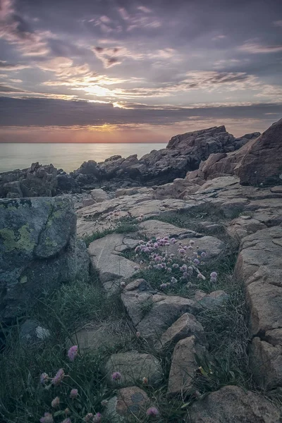 Felsige Strandlandschaft Der Abenddämmerung Hovs Hallar Schweden — Stockfoto