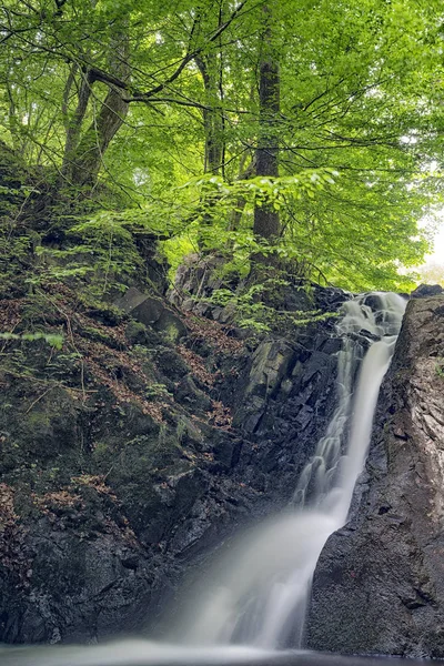 Cascade Réserve Naturelle Forsakar Est Située Dans Partie Nord Est — Photo