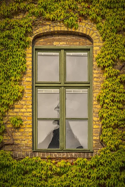 Alnarp burg universität kleines fenster — Stockfoto