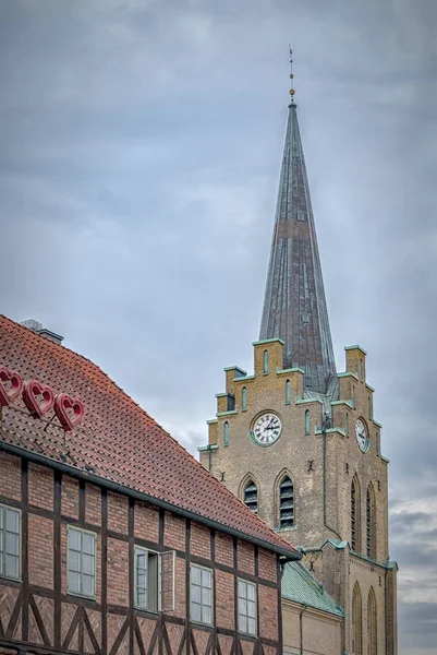 Halmstads Saint Миколаївський Храм Халланд Швеції — стокове фото
