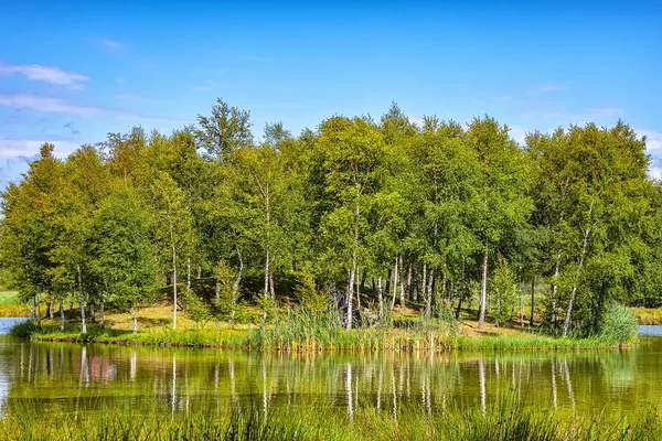 나무의 섬 — 스톡 사진