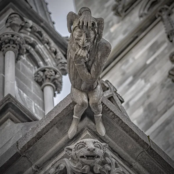 Trondheim Nidaros catedral gárgola corte bufón —  Fotos de Stock