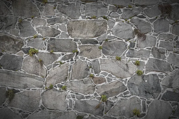 Gruñona pared de roca —  Fotos de Stock