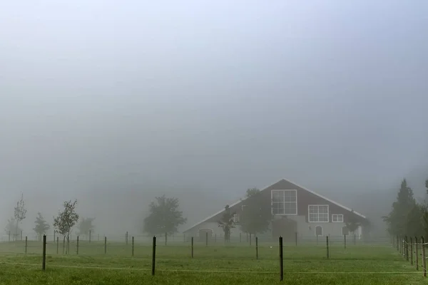 Foggy Farmland Temprano en la mañana — Foto de Stock