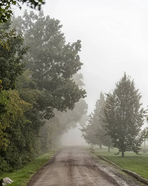 Mglisty poranek kraj Dirt Road — Zdjęcie stockowe