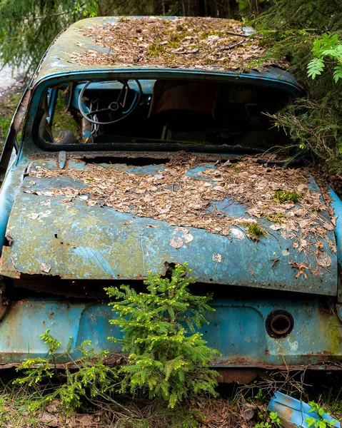 Kirkoe Mosse Suecia Mayo 2020 Cementerio Automóviles Situado Bosque Kirkoe — Foto de Stock